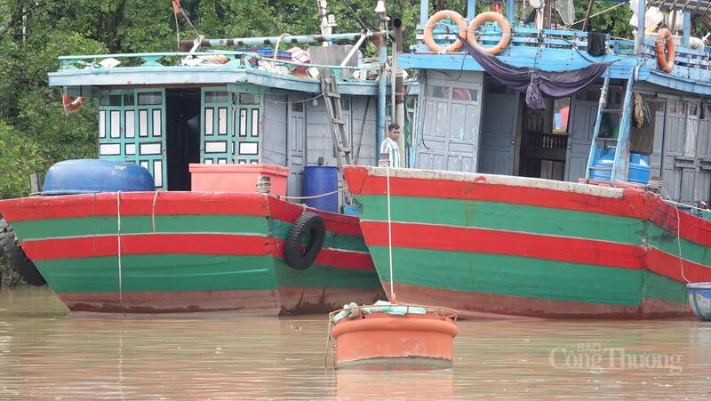 Các tàu đều được neo đậu an toàn, theo đúng quy định