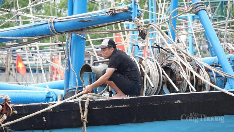 Mọi công tác đang được thực hiện khẩn trương, trước khi bão số 5 đổ bộ