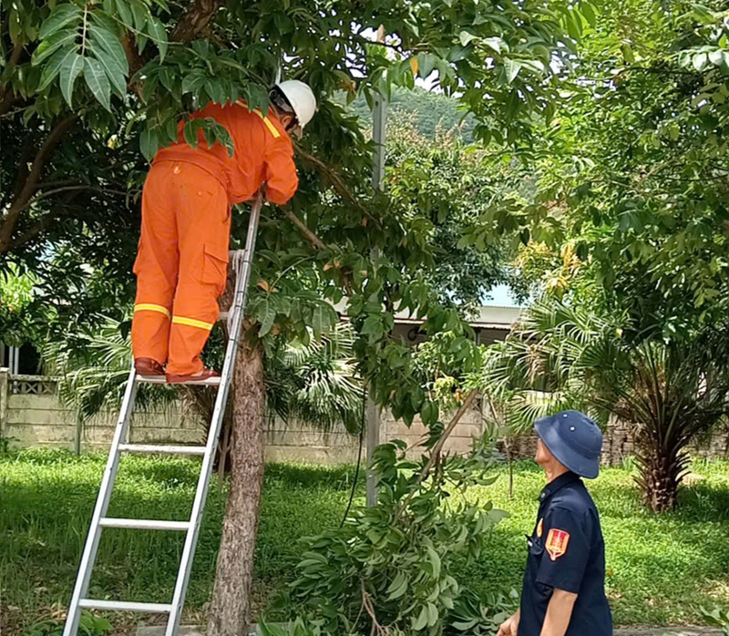 Công nhân truyền tải điện kiểm tra xử lý các nguy cơ ảnh hưởng đến lưới điện
