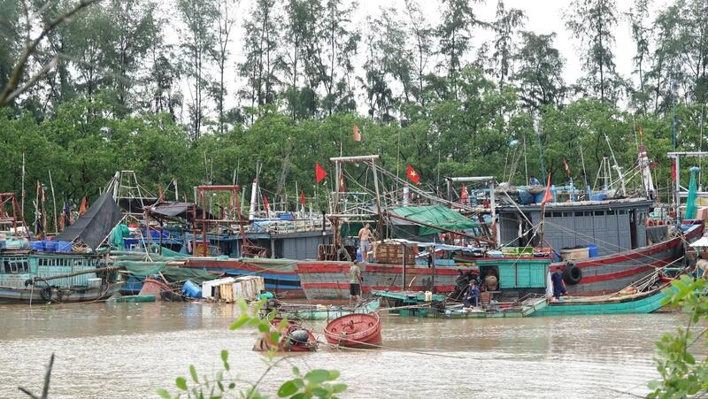 Thanh Hóa: Tàu thuyền neo đậu an toàn trước khi bão số 5 đổ bộ - 4