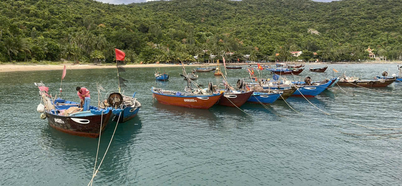 Chằng chống, neo đậu tàu thuyền trong âu thuyền Cù Lao Chàm. Ảnh: Bình An