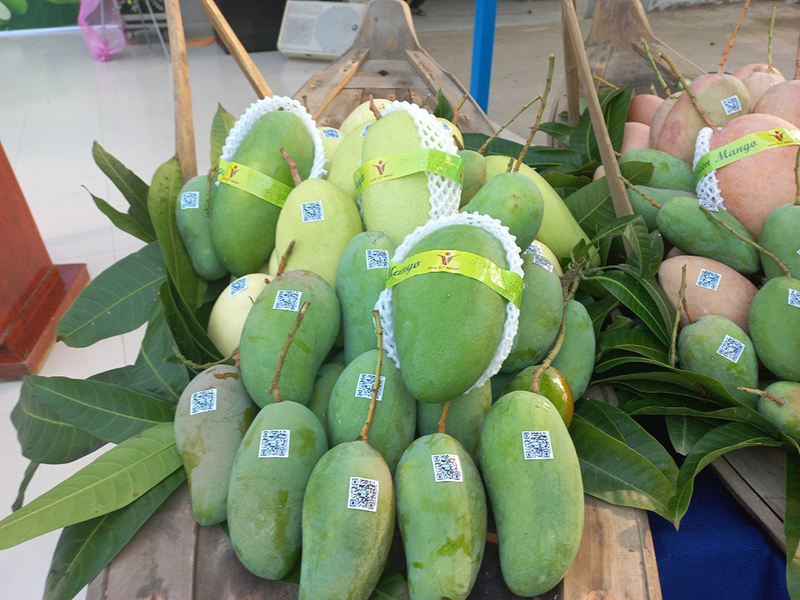 Xoài An Giang. Ảnh: Minh họa