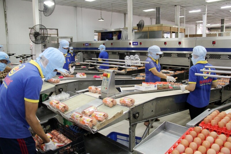 Thương mại Việt Nam - Vương quốc Anh tăng tăng 9,6%, đạt tổng kim ngạch đạt hơn 4,3 tỷ USD trong 6 tháng đầu năm 2025. Ảnh: Huy Trung