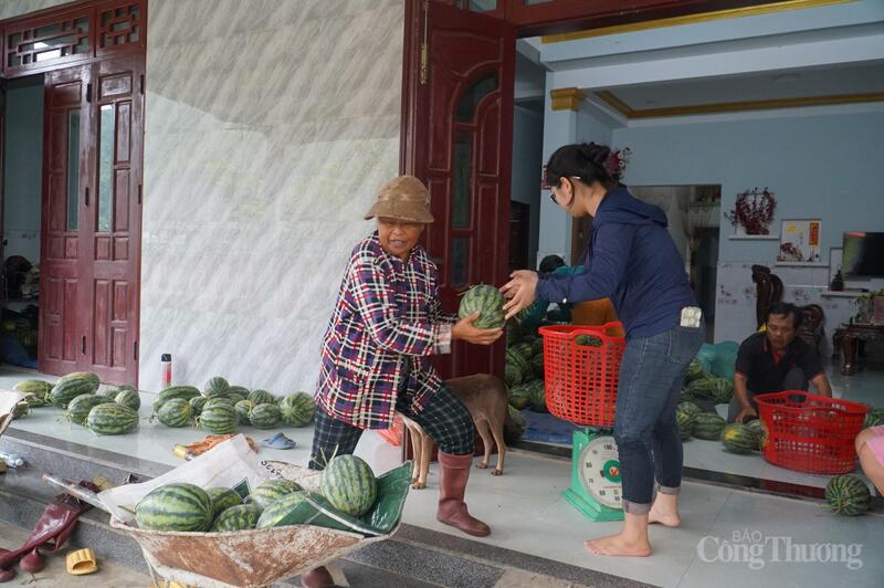 Từ chiều 24/8 đến hiện tại, người dân thôn Trường Định đã tập trung hỗ trợ các hộ trồng dưa vận chuyển dưa ra xe để đưa đến các nơi hỗ trợ tiêu thụ