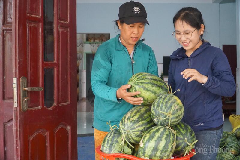 Bà Mai Thị Hoa và con gái phấn khởi cân dưa để vận chuyển đến các nơi hỗ trợ tiêu thụ