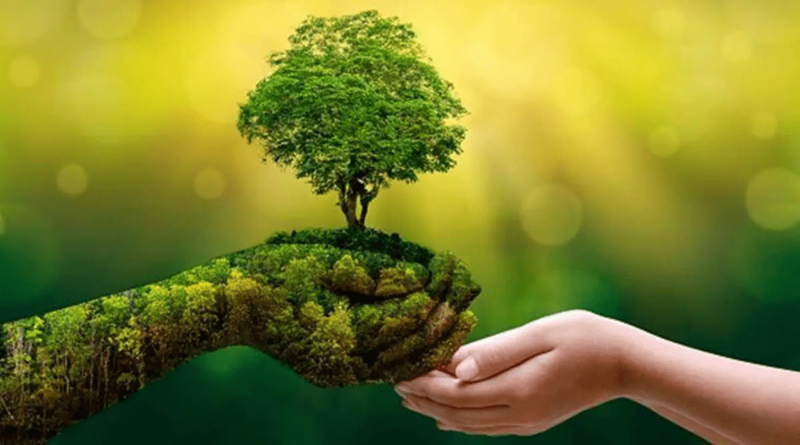 Ngành giấy nỗ lực "xanh hóa" nhằm giảm phát thải khí nhà kính, bảo vệ môi trường. Ảnh minh họa