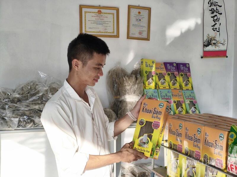 Nhờ liên kết với các Hợp tác xã, bà con xã Bình Lư đã có "đầu ra" ổn định, nâng mức thu nhập.