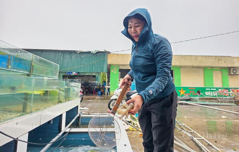Hải sản chết, nhà cửa bị bão tàn phá, nhiều chủ nhà hàng ở Thiên Cầm đang điêu đứng vì bão. Ảnh: Trọng Tùng
