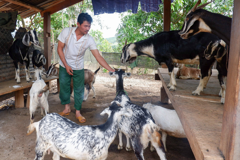Tỷ lệ hộ nghèo trên địa bàn xã Ia Đal giảm mạnh, hiện chỉ còn 4,22%. Ảnh: Phùng Mạnh