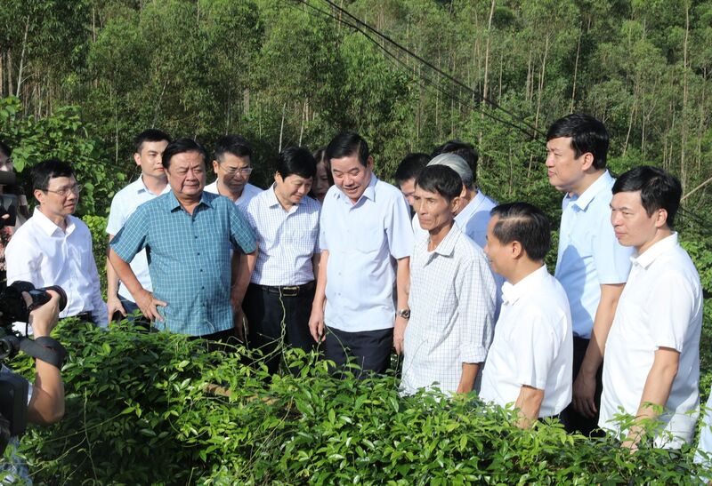 Ông Lê Minh Hoan, Phó chủ tịch Quốc hội và lãnh đạo tỉnh Bắc Ninh thăm quan mô hình trồng sâm nam núi Dành. Ảnh: Báo Nhân dân