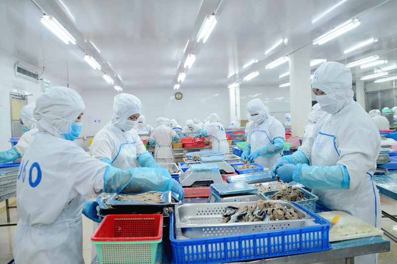 Sự thiếu hụt đối với bộ phận chuyên trách để nghiên cứu và tìm hiểu kỹ về các FTA tại các doanh nghiệp cũng là một yếu tố ảnh hưởng đến hiệu quả tận dụng FTA nói chung