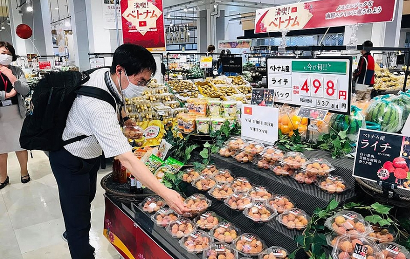 Nhiều doanh nghiệp trong và ngoài nước đã tìm đến Cổng FTAP để hiểu hơn về quy tắc xuất xứ trong các FTA