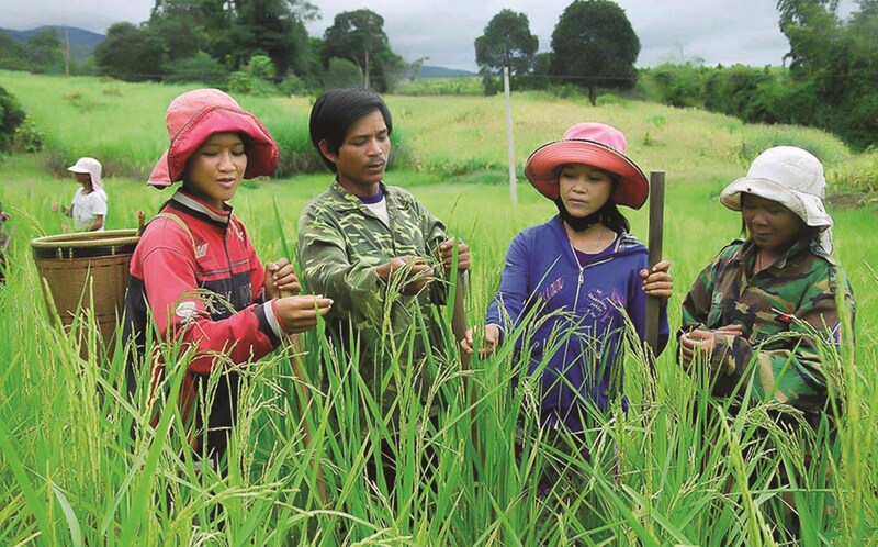 Công tác giảm nghèo luôn nhận được sự quan tâm đặc biệt của Đảng và Nhà nước. Ảnh: Anh Thư