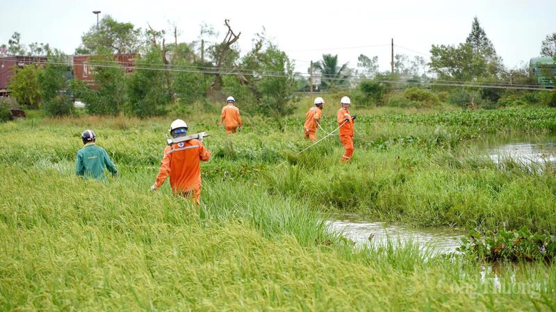 Đội xung kích Quảng Ninh lội sình lầy khắc phục sự cố lưới điện
