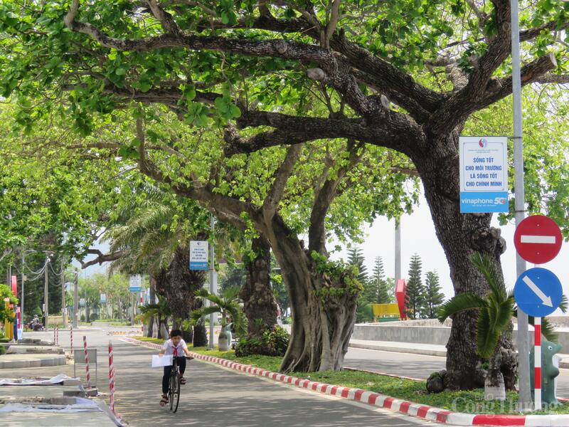 Một góc Côn Đảo. Ảnh: Nguyễn Ngọc