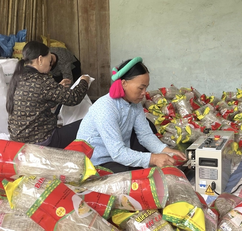 Sản phẩm miến dong Bình Liêu, tỉnh Quảng Ninh được nhiều người tiêu dùng trong và ngoài tỉnh lựa chọn. Ảnh: CTV