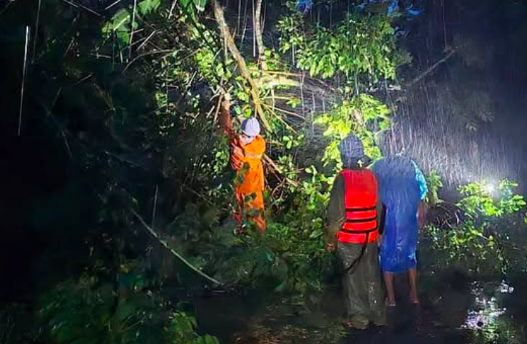 Công nhân điện lực xuyên đêm khắc phục sự cố bão số 5