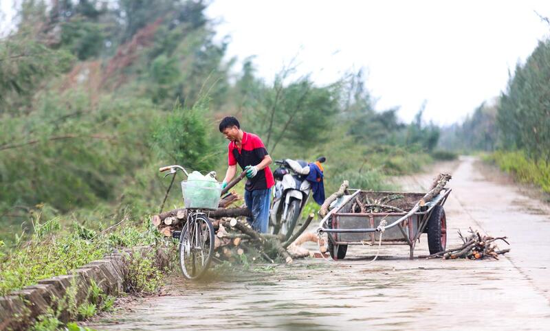 Người dân dọn dẹp những cây bị gãy đổ, cản trở giao thông