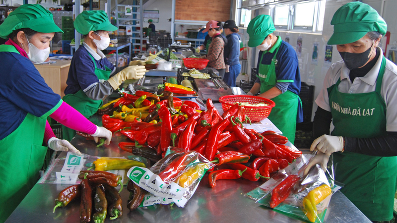 Phát triển cụm công nghiệp giúp tạo thêm mặt bằng cho sản xuất công nghiệp nông thôn. Ảnh minh họa
