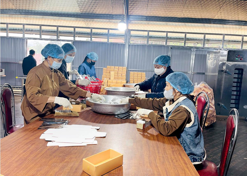 Người lao động của Hợp tác xã Anh Tú đóng gói sản phẩm trước khi đưa ra thị trường. Ảnh: Yên Hoa