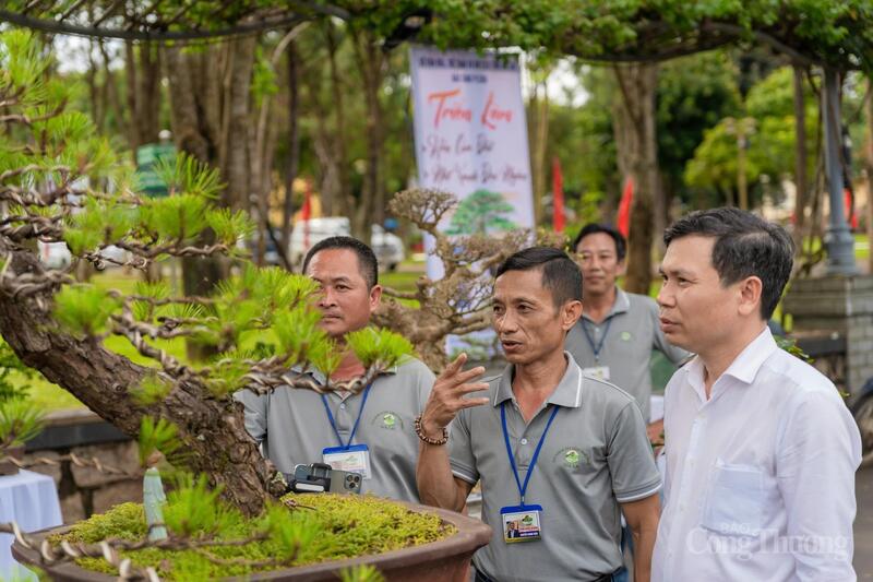 Các thành viên trong Câu lạc bộ Bonsai cây cảnh nghệ thuật Gia Lai giới thiệu cho đại biểu về các loại cây cảnh quý hiếm