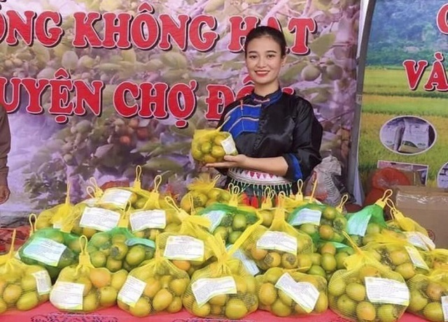 Hồng không hạt được giới thiệu tại các hội chợ, triển lãm trong và ngoài tỉnh. Ảnh: Công Luận