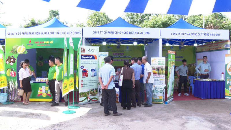 Đông đảo doanh nghiệp tham gia sự kiện