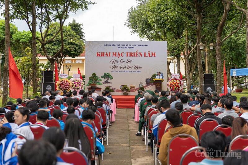 Khai mạc triển lãm chuyên đề “Hồn của đất” và trưng bày bonsai “Nét xanh đại ngàn”. Ảnh: Hiền Mai