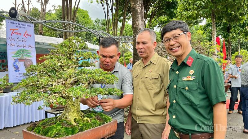 Trưng bày bonsai “Nét xanh đại ngàn” mang đến không gian thư thái, thanh lọc tâm hồn qua hơn 100 tác phẩm bonsai nghệ thuật. Ảnh: Hiền Mai