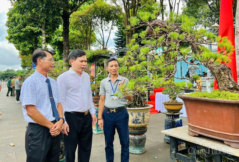 Không gian trưng bày bonsai “Nét xanh đại ngàn”