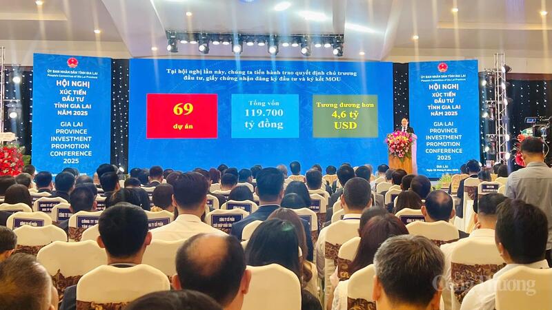 Quang cảnh hội nghị