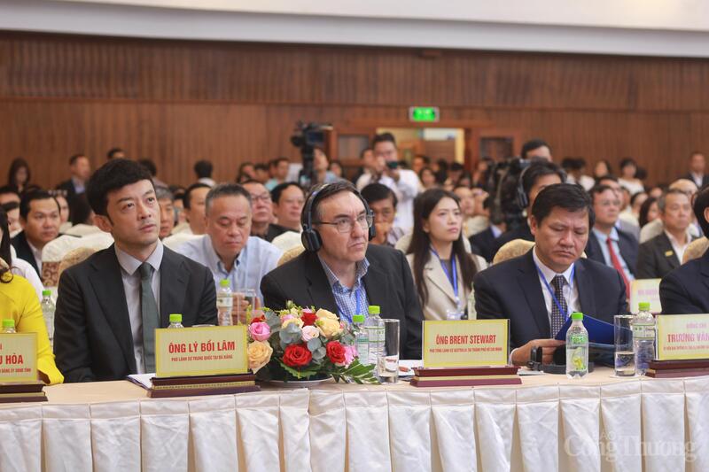 Các đại biểu tham dự hội nghị