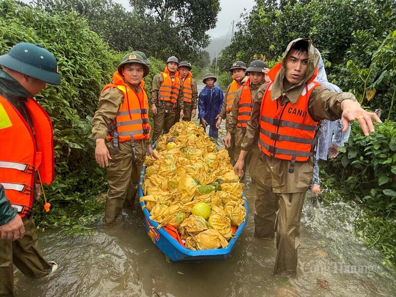 Lực lượng công an xã lội nước, giúp người dân thu hoạch bưởi