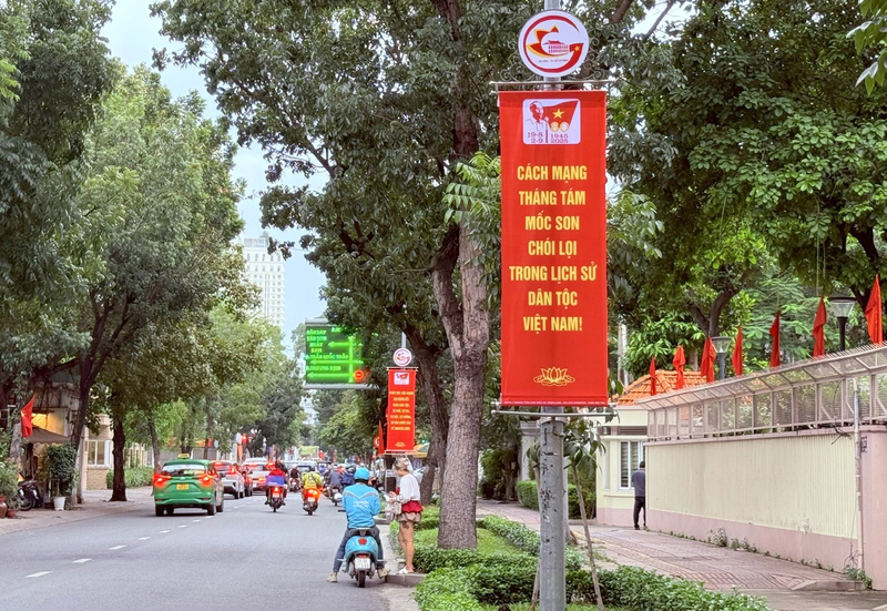 Đường phố TP. Hồ Chí Minh rực rỡ cờ hoa mừng Tết Độc lập 2/9 - 7