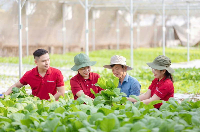 Phát huy truyền thống hơn 37 năm xây dựng và phát triển, kế thừa những thành tựu to lớn đã đạt được trong sứ mệnh tự hào vì “tam nông”, toàn hệ thống Agribank chung sức đồng lòng vượt qua mọi khó khăn, thử thách.