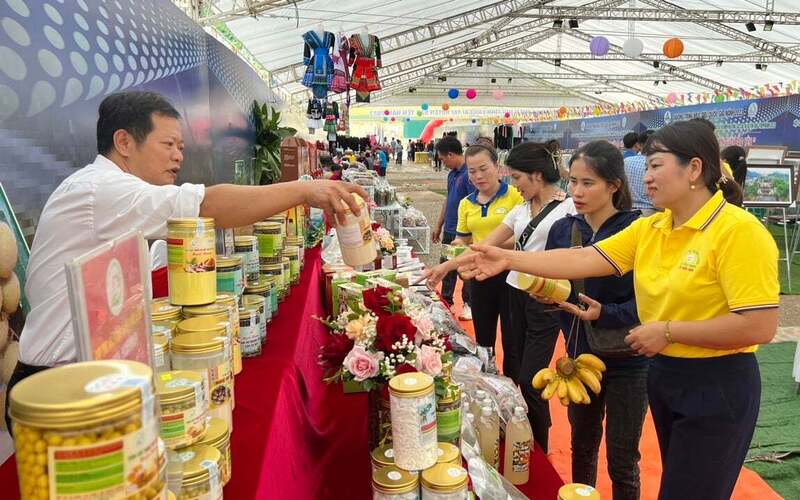 Tỉnh Lào Cai ban hành kế hoạch phát triển thương hiệu nông sản giai đoạn 2025-2030. Ảnh minh hoạ