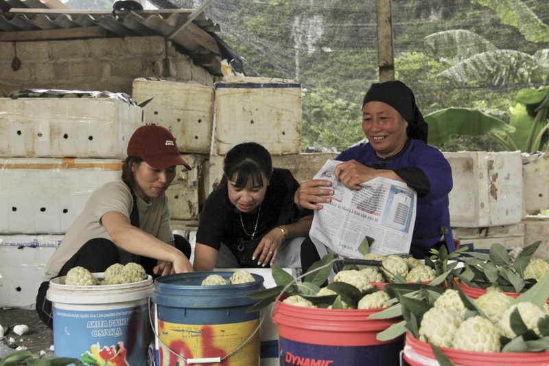 Xúc tiến thương mại nâng tầm thương hiệu nông sản miền núi