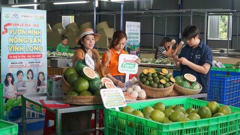 Ứng dụng thương mại điện tử trong tiêu thụ nông sản OCOP đã tạo nên mô hình xúc tiến thương mại hiệu quả, mở ra cơ hội quảng bá đặc sản địa phương đến gần hơn với người tiêu dùng.