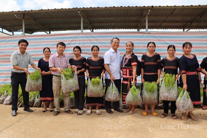 Lãnh đạo xã Tu Mơ Rông (tỉnh Quảng Ngãi) trao tặng cây giống cho người dân trên địa bàn xã tại phiên chợ 0 đồng hồi cuối tháng 8/2025