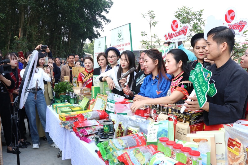 Liên minh HTX, các địa phương nên tổ chức nhiều khóa tập huấn thực hành, từ kỹ năng livestream, bán hàng online đến truy xuất nguồn gốc