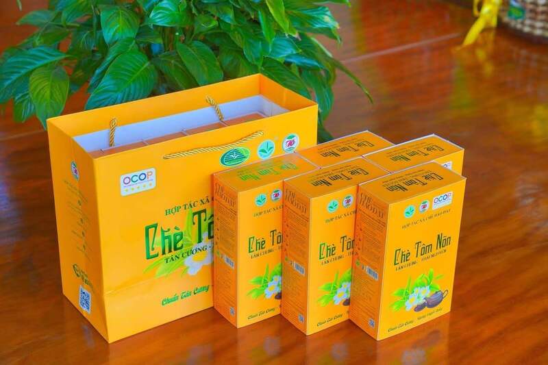 Chè Tôm Nõn cũng là sản phẩm chất lượng của Hảo Đạt (Ảnh: HTX Chè Hảo Đạt)