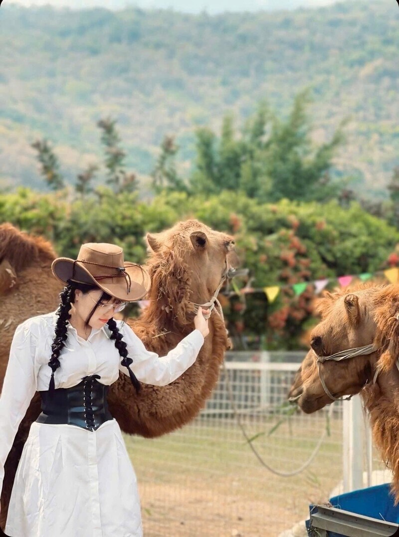 Kết hợp giữa công nghiệp và thú vui đời thường