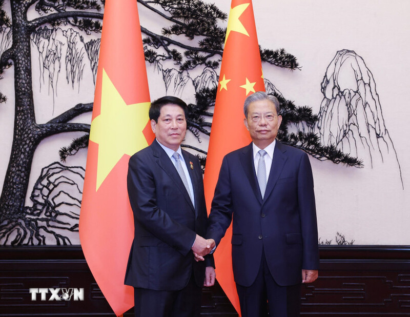 Chủ tịch nước Lương Cường hội kiến Ủy viên trưởng Nhân đại toàn quốc Trung Quốc Triệu Lạc Tế. (Ảnh: Lâm Khánh/TTXVN)