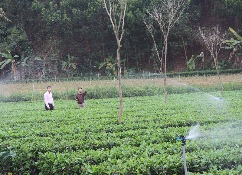 Đến 1/7/2025, tỷ lệ hộ nghèo toàn tỉnh Tuyên Quang giảm nhanh và bền vững, từ 23,45% xuống 10,19%, bình quân giảm 4,42%/năm, vượt xa mục tiêu 3%/năm.