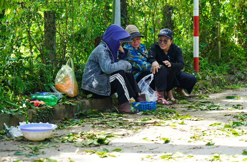 Những ngày này, các đầu mối thu mua trám tại các xã Hương Sơn, Sơn Giang, Sơn Tiến hoạt động hết công suất