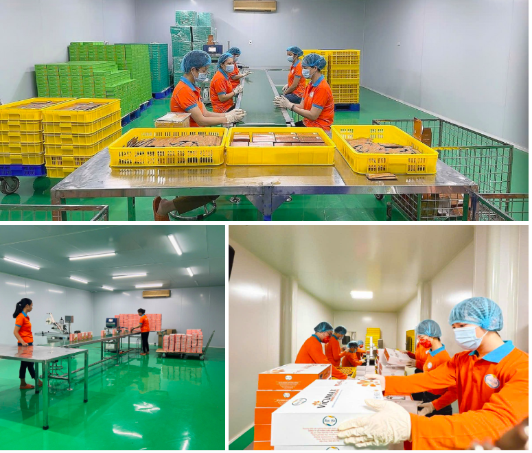 Doanh nghiệp đầu tư quy trình sản xuất hiện đại, đạt các tiêu chuẩn cao. Ảnh minh hoạ