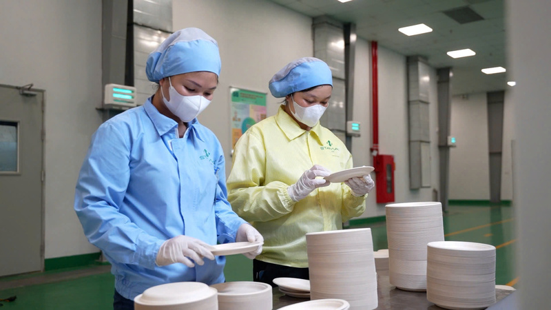 Sản phẩm hộp/khay/ đĩa thân thiện với môi trường, được làm hoàn toàn từ bột bã mía, bột tre, bột gỗ, có khả năng phân huỷ sinh học trong vòng 45 ngày và phân huỷ hoàn toàn sau 4 tháng ở điều kiện thích hợp. Ảnh: C.H
