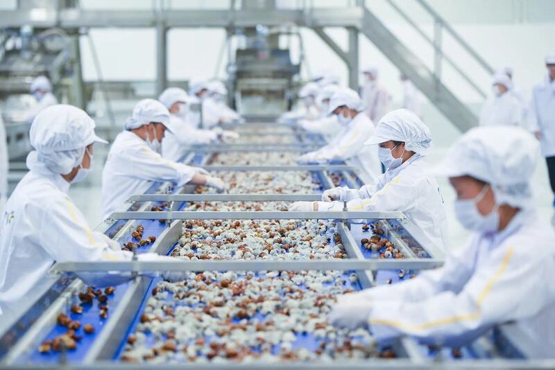 8 tháng đầu năm 2025 ngành nông nghiệp đã xuất siêu hơn 13 tỷ USD. Ảnh: Chu Khôi.
