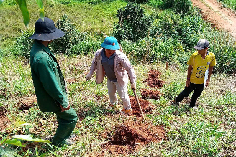 Trong thời gian qua, công tác quản lý, bảo vệ và phát triển rừng ở tỉnh Quảng Ngãi đạt nhiều kết quả tích cực. Ảnh: Thanh Tùng