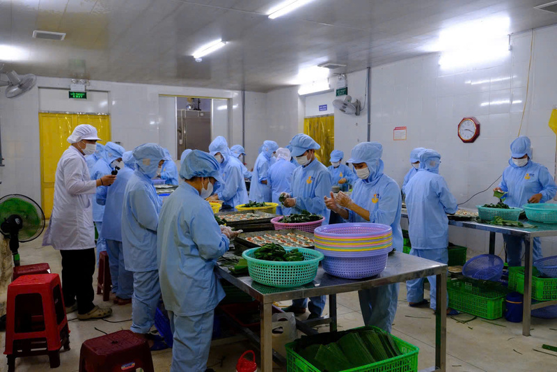 Những chiếc bánh Huế làm ra đều đáp ứng nghiệm ngặt về an toàn vệ sinh thực phẩm, đạt tiêu chuẩn quốc tế. Ảnh: Nguyễn Tuấn